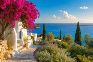 Plantas y flores que puedes ver en un crucero por las islas griegas